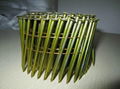  Pallet Coil Nail 2