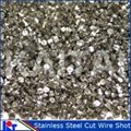 Kinds of Stainless Steel Cut Wire Shot Abrasive for Sand Blasting 5