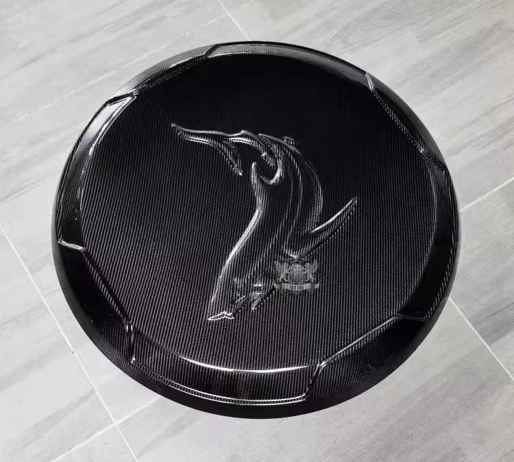 W463a carbon spare tyre cover 4