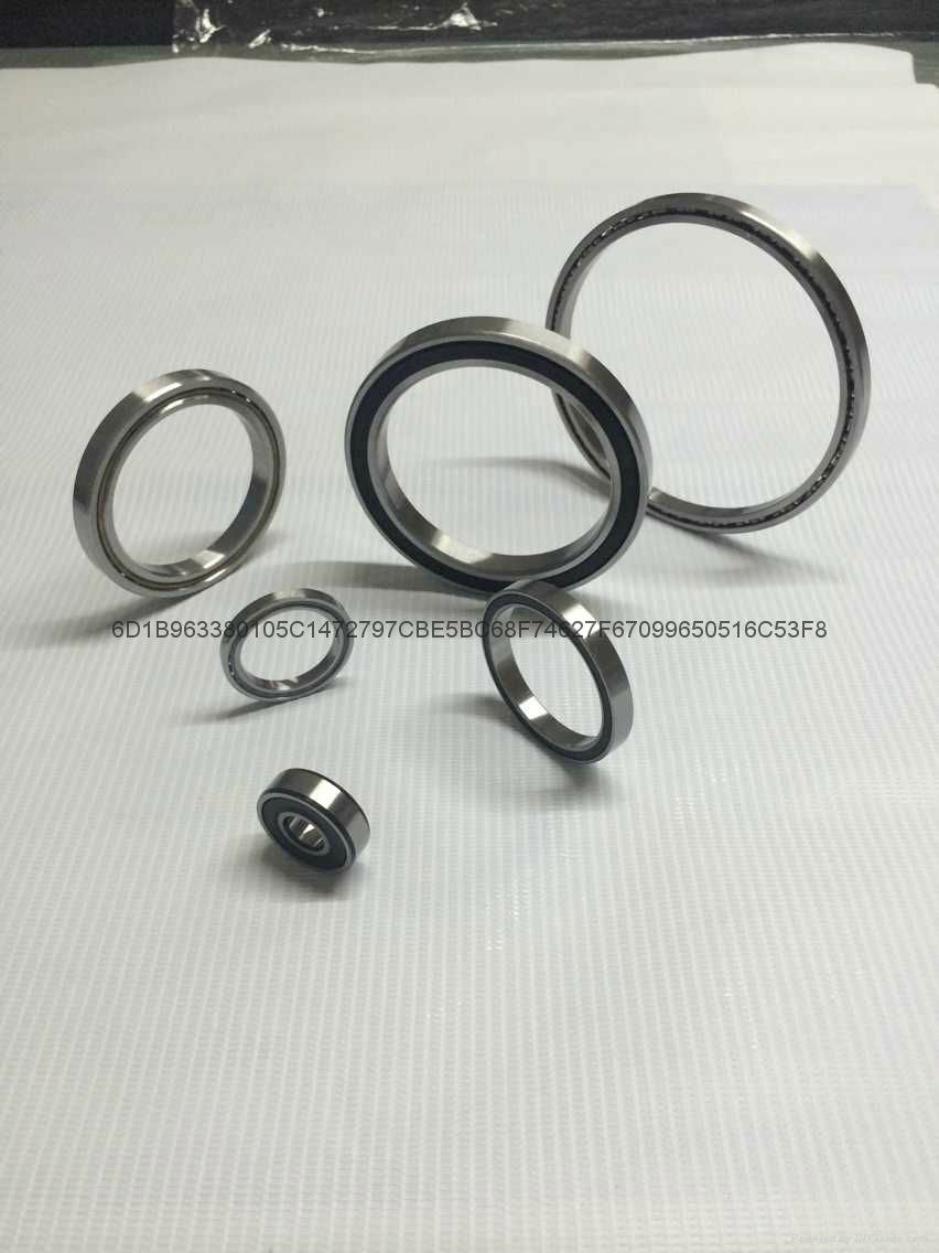 Four point contact ball bearing