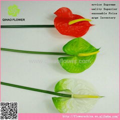 plastic anthurium artificial anthurium flowers decorative anthurium flowers  pro