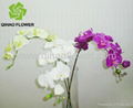 silk butterfly orchid artificial