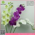 silk butterfly orchid artificial butterfly orchid decorative butterfly orchid fo 5