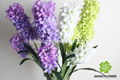 Vivid hyacinth artificial hyacinth decorative hyacinth silk hyacinth flowers 2