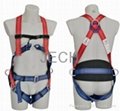 safety harness 1