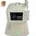 ATNL51353A VET Digital Portable Ultrasound Scanner 