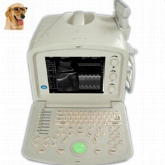 ATNL51353A VET Digital Portable Ultrasound Scanner 
