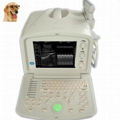 ATNL51353A VET Digital Portable Ultrasound Scanner