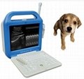 ATNL51353A Digital Laptop Ultrasound Scanner 