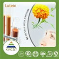 Marigold extract lutein 5%10% 20%40% 80% 90% Zeaxanthin5% 10% 1