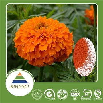 万寿菊提取物叶黄素玉米黄质 4