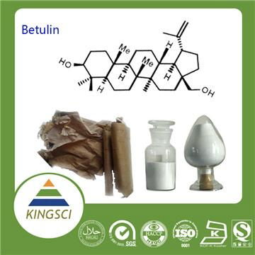 High Quality Betulin White Birch Bark Extract In Store