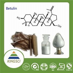 High Quality Betulin White Birch Bark Extract In Store