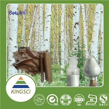 High Quality Betulin White Birch Bark Extract In Store 3