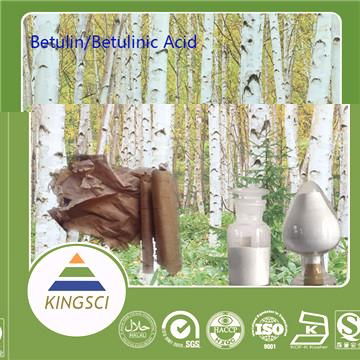 High Quality Betulin White Birch Bark Extract In Store 2