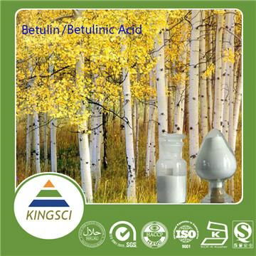 High Quality Betulin White Birch Bark Extract In Store 4