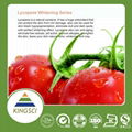 factory price tomato extract lycopene powder 4