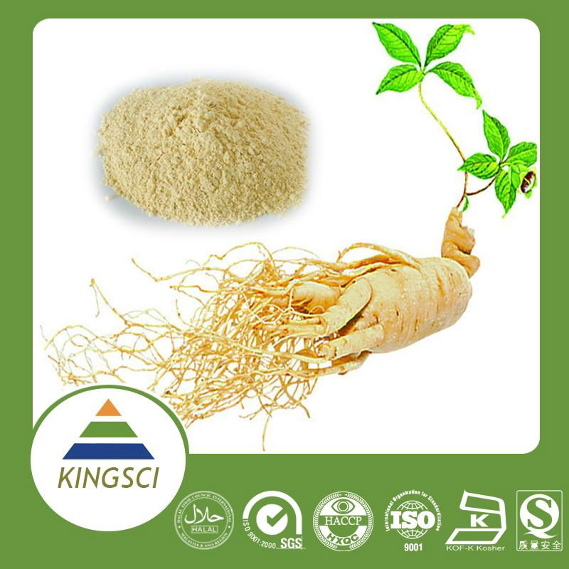 factory supply high quality ginseng extract 20% 80% ginsenosides pwoder 3