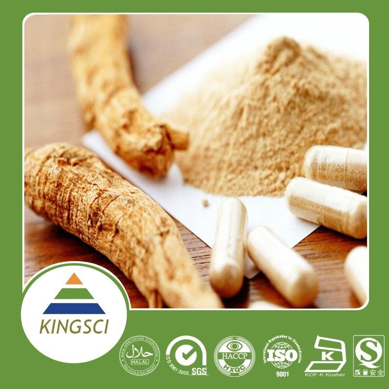factory supply high quality ginseng extract 20% 80% ginsenosides pwoder 4