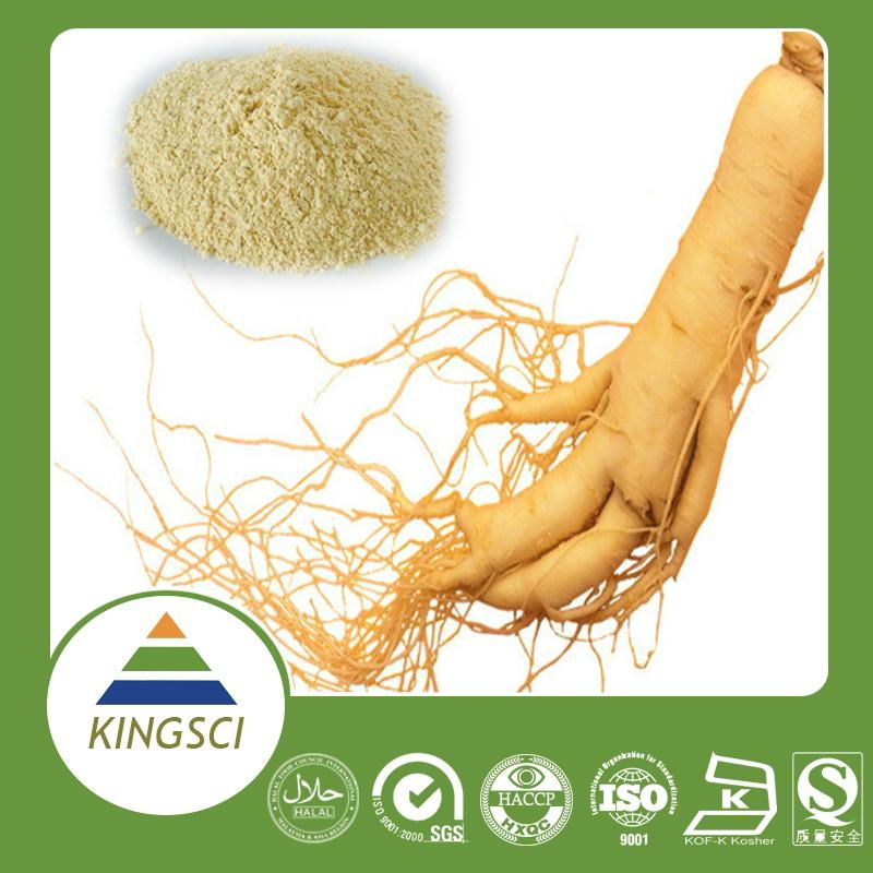 factory supply high quality ginseng extract 20% 80% ginsenosides pwoder 5