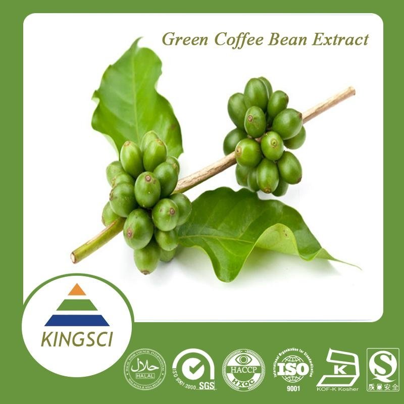 Pure Natural Weight Loss Green Coffee Bean Extract 50% Chlorogenic Acid 3