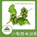 綠咖啡豆提取物50%綠原酸 3