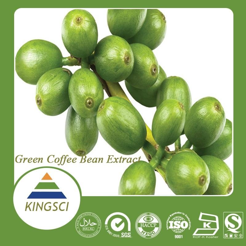 綠咖啡豆提取物50%綠原酸 4