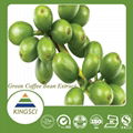 Pure Natural Weight Loss Green Coffee Bean Extract 50% Chlorogenic Acid 4