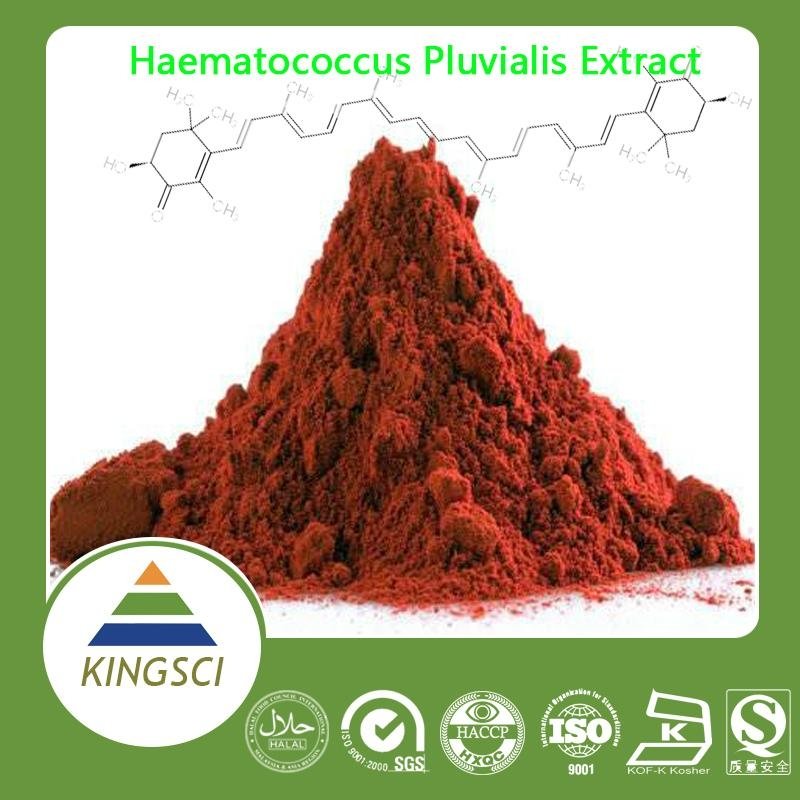  Competitive Price Pure Natural Haematococcus pluvialis extract Astaxanthin Powd 3