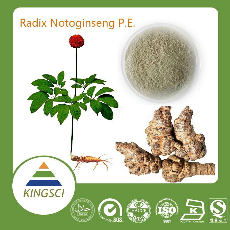 Panax notoginseng extract notoginseng Powder/sanqi extract