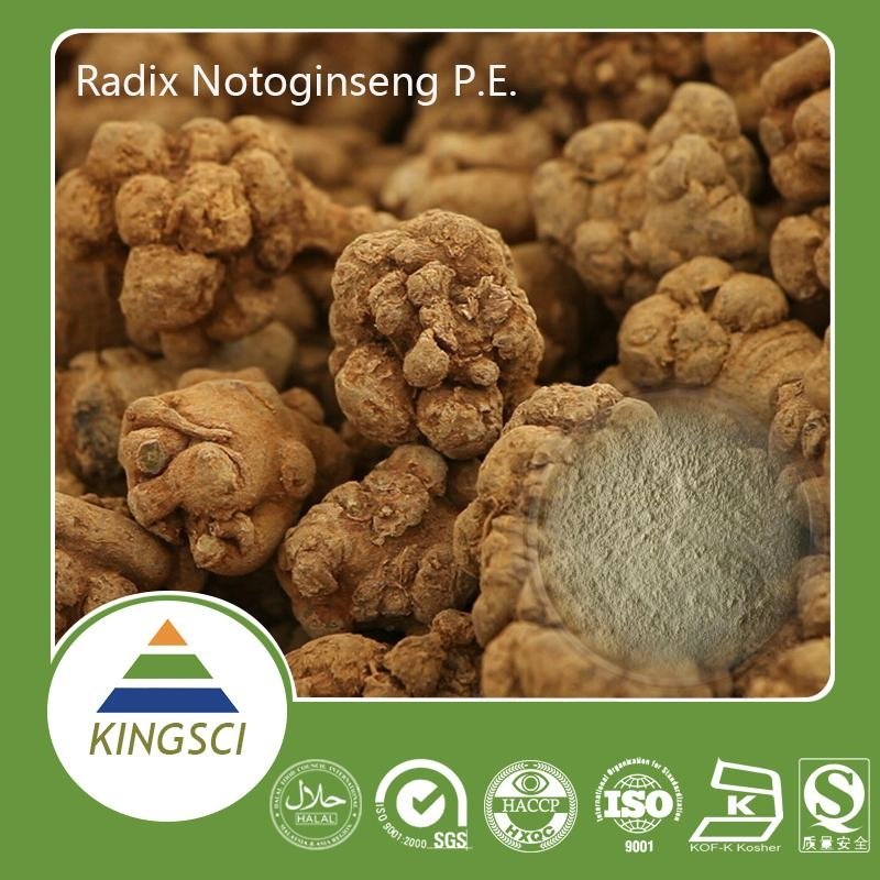 Panax notoginseng extract notoginseng Powder/sanqi extract 3