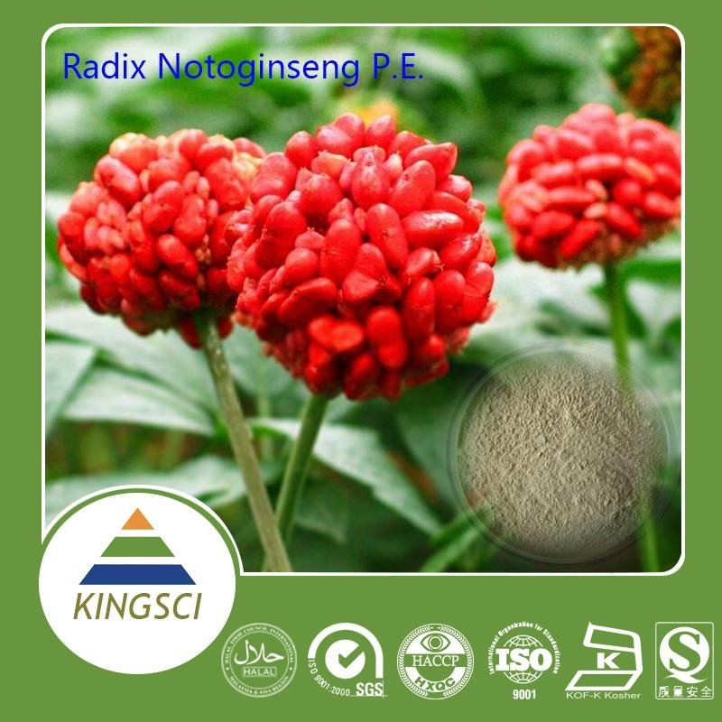 Panax notoginseng extract notoginseng Powder/sanqi extract 2