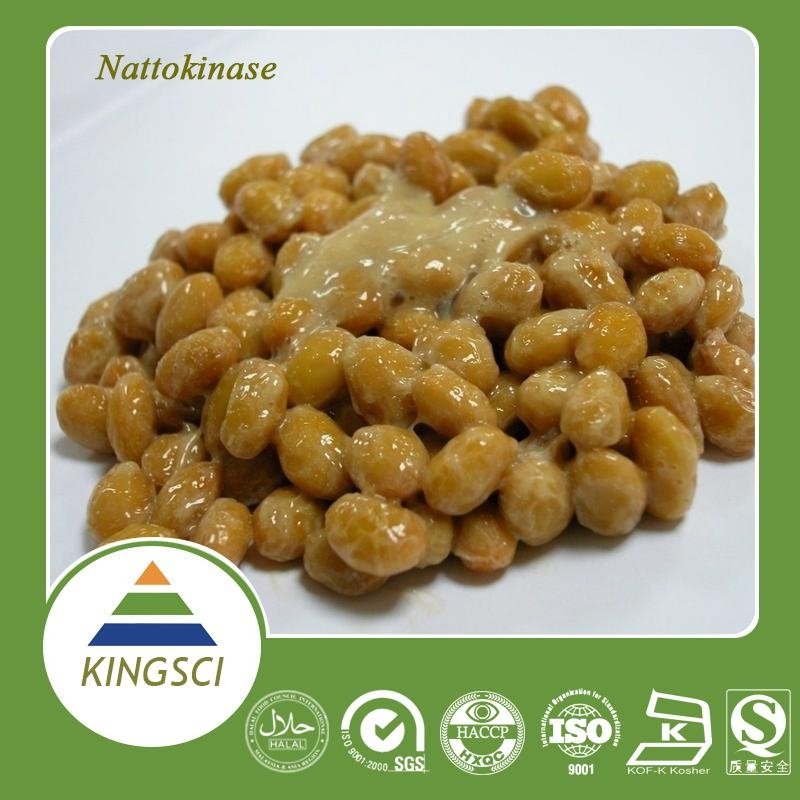 100% Natural Natto Extract Powder Nattokinase/High quality Natto extract Powder