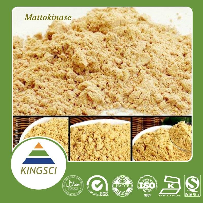 100% Natural Natto Extract Powder Nattokinase/High quality Natto extract Powder 2