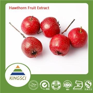 100% Natural Chinese Hawthorn Fruit Extract20%~90% 2