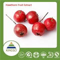 100% Natural Chinese Hawthorn Fruit Extract20%~90% 2