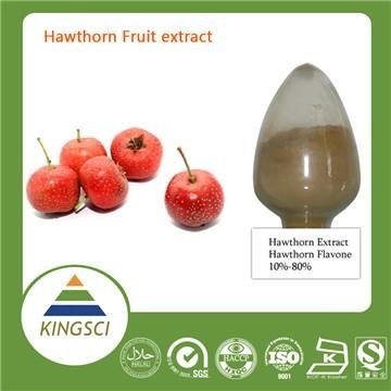 100% Natural Chinese Hawthorn Fruit Extract20%~90%