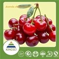 100% Natural Acerola Cherry Fruit Extract 17% 25% Vitamin C 1