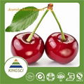 100% Natural Acerola Cherry Fruit Extract 17% 25% Vitamin C 2