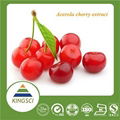 100% Natural Acerola Cherry Fruit Extract 17% 25% Vitamin C 3