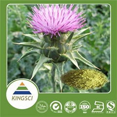 Food And Pharmaceutical Grade Milk Thistle Extract Powder Silymarin/silibinin/ I