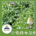 Food And Pharmaceutical Grade Milk Thistle Extract Powder Silymarin/silibinin/ I 2