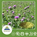 Food And Pharmaceutical Grade Milk Thistle Extract Powder Silymarin/silibinin/ I 3