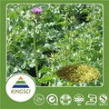 Food And Pharmaceutical Grade Milk Thistle Extract Powder Silymarin/silibinin/ I 4