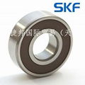 skf 軸承-6205軸承