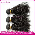 Brazilian Curly Wave 100% Virgin Human