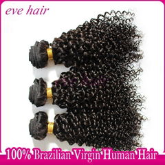 Brazilian Curly Wave 100% Virgin Human Hair Extension Remy Hair Product 