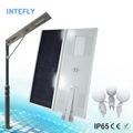 Made In China Solar Street Lighting Poles,Large Solar Lights  4