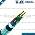twisted pair SWA instrumentation cable