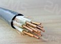 solid copper instrument cable 3